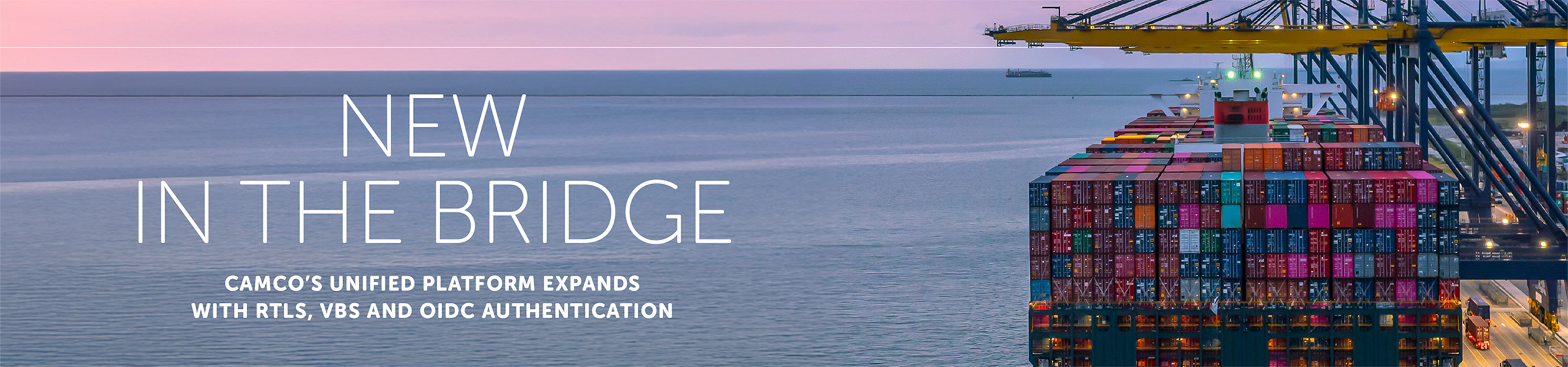 NewInTheBridge_Desktop